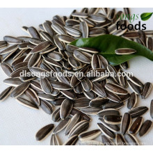 Hot Sales Dried Sunflower Seeds From China Suppliers